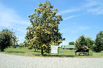 Autokemp Rudava